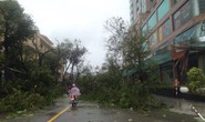 Bão số 12 tan, Khánh Hòa tan hoang, ít nhất 11 người chết