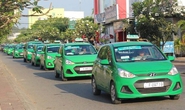 Không để taxi truyền thống đơn độc trước Uber, Grab