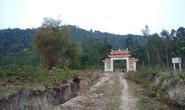 Cho phá rừng làm  “siêu nghĩa trang”