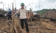 Xử lý vụ phá rừng ở Quảng Nam: Không có vùng cấm!