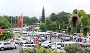 Mạnh tay dẹp cò đặc sản