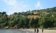 Giữ Sơn Trà là đẻ ra tiền bền vững