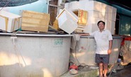 Tự tin trên đồng quê: Mặn duyên với cá chình