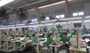 Công nhân Công ty Green Apparel Việt Nam trở lại làm việc
