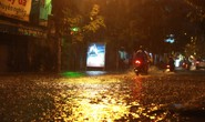 Bão số 14 gây mưa to gió lớn ở TP HCM