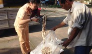 Mang 1,6 tấn nội tạng đang phân hủy tới Hà Nội tiêu thụ