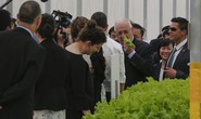 Tổng thống Israel thưởng thức rau sạch Việt Nam ngay tại vườn