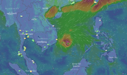 Chuyên gia khí tượng: “Bão số 14 bất ngờ, phức tạp”