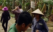 Trèo cây phát quang sau bão số 10, trưởng thôn ngã tử vong