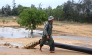 Phú Yên chỉ đạo kiểm tra nhanh vụ hút cát sông Đà Rằng