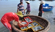 Tàu cá nằm bờ do vướng chính sách