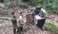Phá rừng khi chưa được phép khai thác khoáng sản