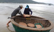 Ngư dân Đà Nẵng trúng đậm mùa ruốc