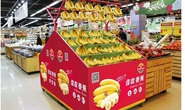 Bầu Đức xuất khẩu hàng ngàn tấn chuối sang Trung Quốc