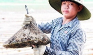 Nghề chăm con mọn ở đầm Nha Phu