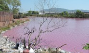 Hồ nước thải màu tím, bốc mùi thối là do tảo nở hoa