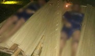 Đưa trâu vượt sông, 2 anh em đuối nước thương tâm