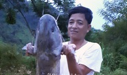Đổi đời nhờ săn cá ở Bản Vẽ