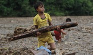 Người già, trẻ nhỏ Mù Cang Chải bơi ra giữa dòng nước lũ vớt củi