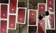 Trộm táo tợn đột nhập “Điện Máy Xanh” hốt iPhone 7