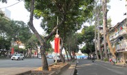 Đốn hạ 27 cây xanh trên đường Lê Lợi để xây dựng metro