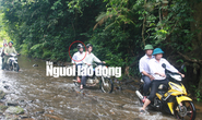 Bắt nguyên giám đốc BQL rừng phòng hộ Sông Tranh