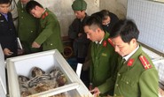 Mua 2 con hổ giá gần 1 tỉ đồng mang về nấu cao