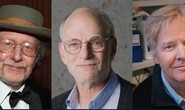 Giải Nobel Y học về tay 3 nhà khoa học người Mỹ