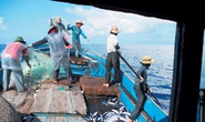 Phản đối hành động phi lý của Trung Quốc trên Biển Đông