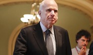 Thượng nghị sĩ Mỹ John McCain bị ung thư não
