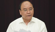 Thủ tướng yêu cầu Bình Định xử lý nghiêm phá rừng An Lão