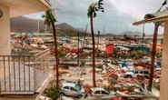 Hàng loạt biệt thự của ông Donald Trump “hứng” bão Irma?
