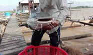 Bí ẩn “thủy quái” có râu dài vùng Amazon trên sông Hậu