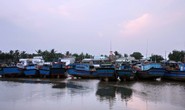 Dừng dự án thép Cà Ná