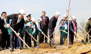 Tết trồng cây, cùng nhau bảo vệ rừng