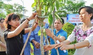 CNVC-LĐ trồng cây, bảo vệ môi trường