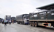 BOT Ninh An liên tục kẹt xe vì tiền lẻ