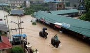 Nepal: Lũ lụt nghiêm trọng, người dân sơ tán bằng voi