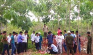 Vào rừng lấy mật ong, người đàn ông chết dưới gốc cây
