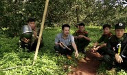 Ngày mai xét xử vụ xả súng kinh hoàng ở Đắk Nông