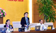 Chủ tịch Quốc hội: Nhiều người giàu lên, thành đại gia bất động sản từ đất đai