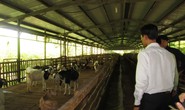 Ông Lê Tấn Hùng nói về vi phạm ở SAGRI