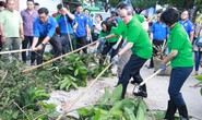 Lãnh đạo TP HCM cùng người dân dọn rác trên kênh rạch