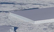 Tảng băng hình chữ nhật ở Nam Cực làm NASA sửng sốt
