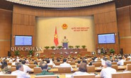 Cùng với việc xử lý đại án tham nhũng, cần quyết liệt chống tham nhũng vặt