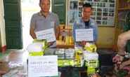 Phá án ma túy từ Tam Giác Vàng tới Việt Nam
