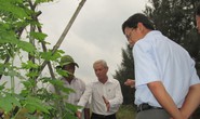 Nông nghiệp hữu cơ được nhà nước hỗ trợ cao