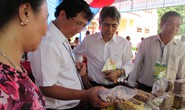 Trồng điều hữu cơ tại Campuchia để xuất khẩu