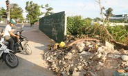 Doanh nghiệp bán chui đất vàng?