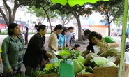 Rôm rả chợ phiên nông sản
